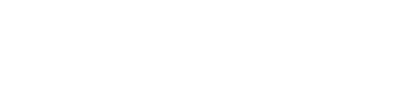 Transfer VIP